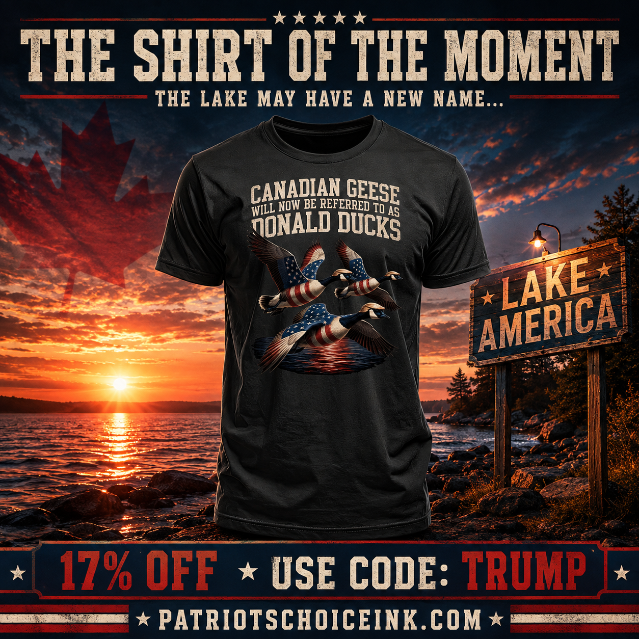 Canadian Geese Are Now Donald Ducks Patriotic T-Shirt