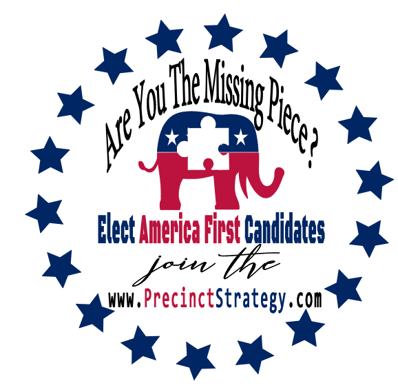 Precinct Strategy